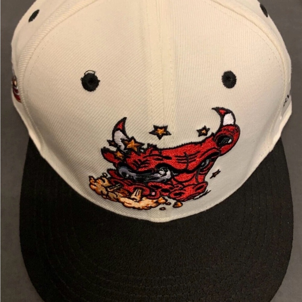 Chicago bulls artist series hat 2023 season